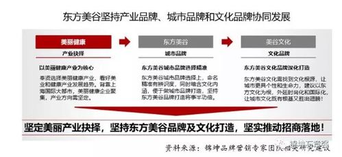 锦坤 连锁与互联网品牌营销专家