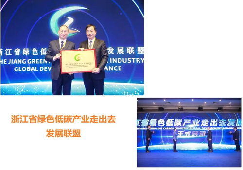 发挥产业优势,打造绿色丝路 第四届浙江国际工程联盟拓市对接会成功举办