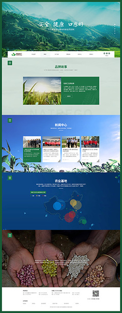 集团网站建设|高端网站建设|浙江集团网站建设|集团企业网站建设|百强网站建设【BOC博采网络】
