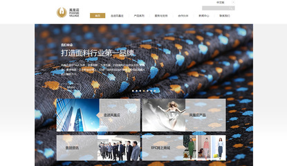 凤凰庄控股-品牌网站建设-宣盟网络