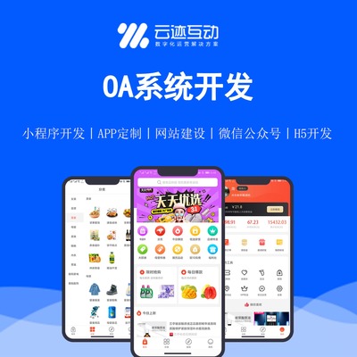 OA软件开发