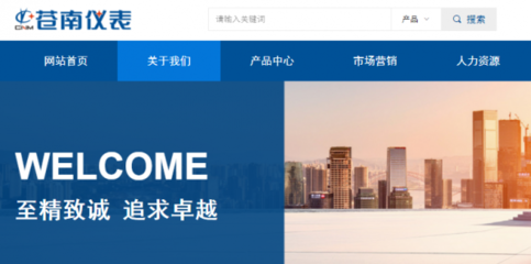 浙江苍南仪表集团股份与我司做网站推广项目